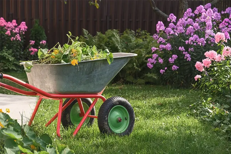 Prace porządkowe w ogrodzie z kwiatami i krzewami