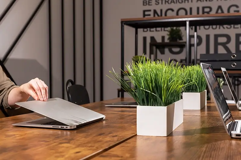 Napis na ścianie w biurze i roślina na biurku